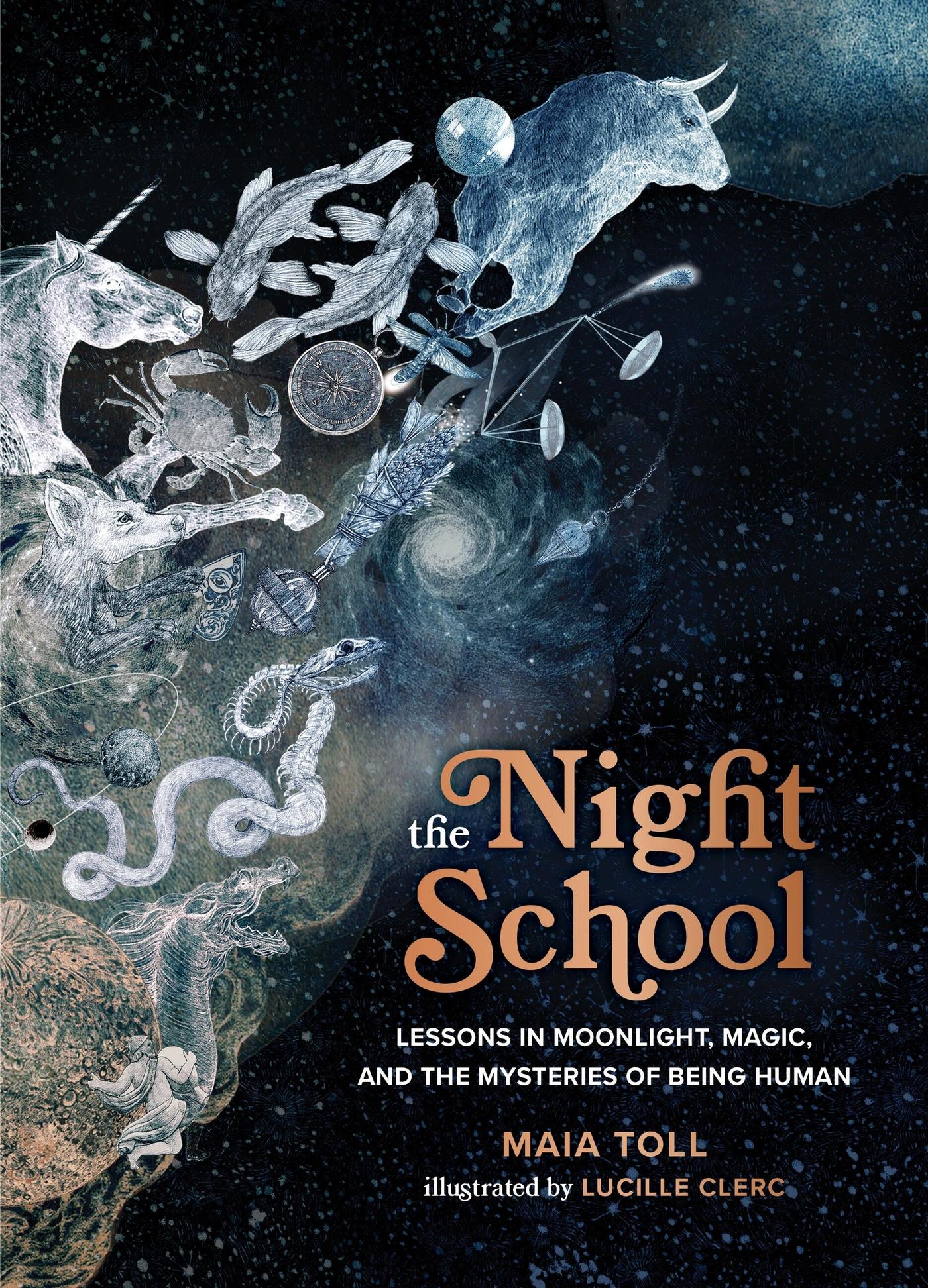 Vorderes Coverbild The Night School