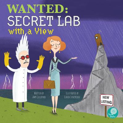 Vorderes Coverbild Wanted: Secret Lab with a View