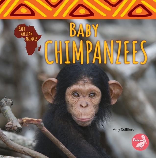 Vorderes Coverbild Baby Chimpanzees