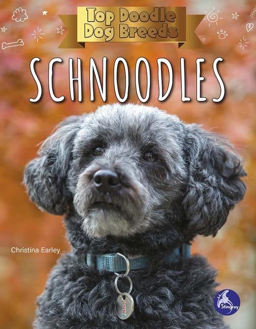 Vorderes Coverbild Schnoodles