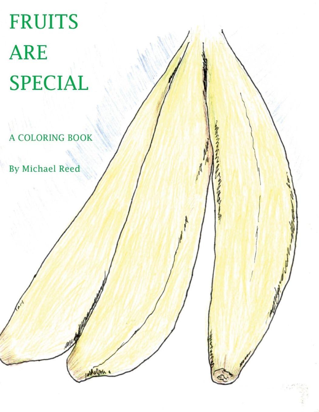 Vorderes Coverbild Fruits are Special