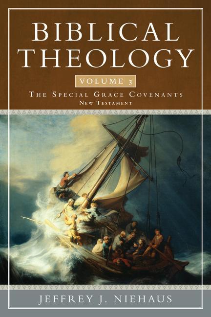 Vorderes Coverbild Biblical Theology, Volume 3