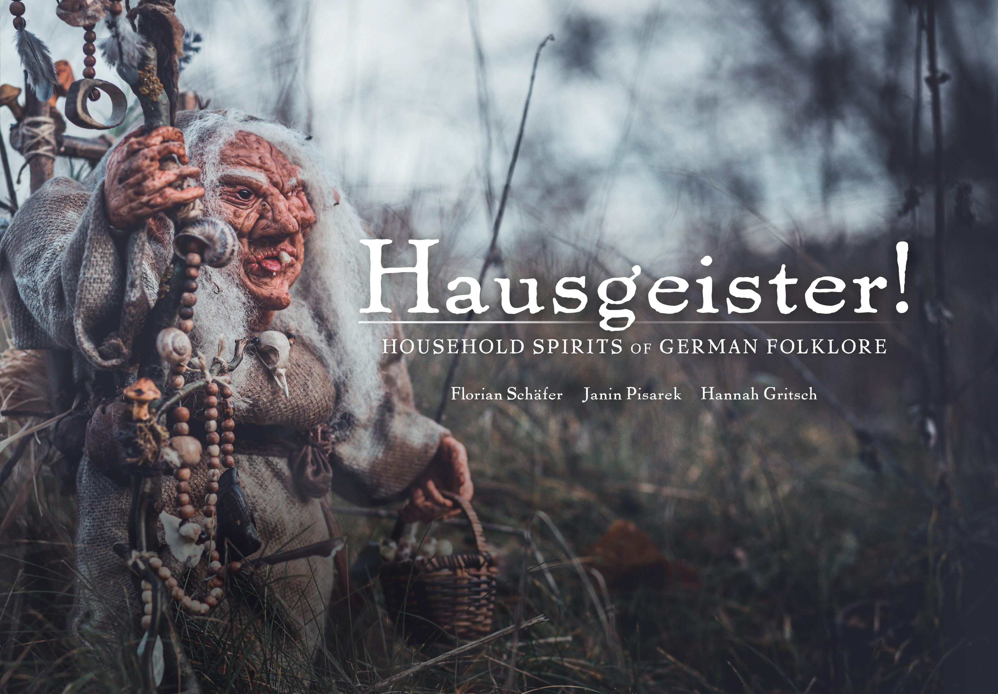 Vorderes Coverbild Hausgeister!