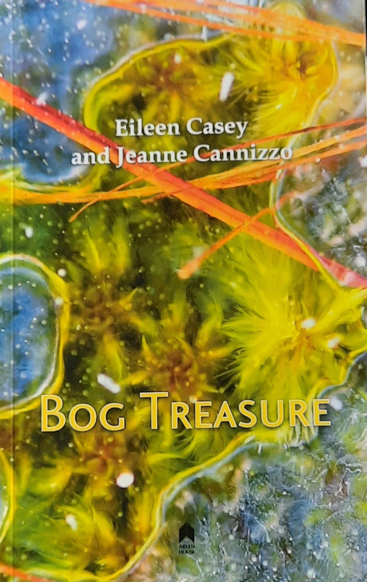 Vorderes Coverbild Bog Treasure