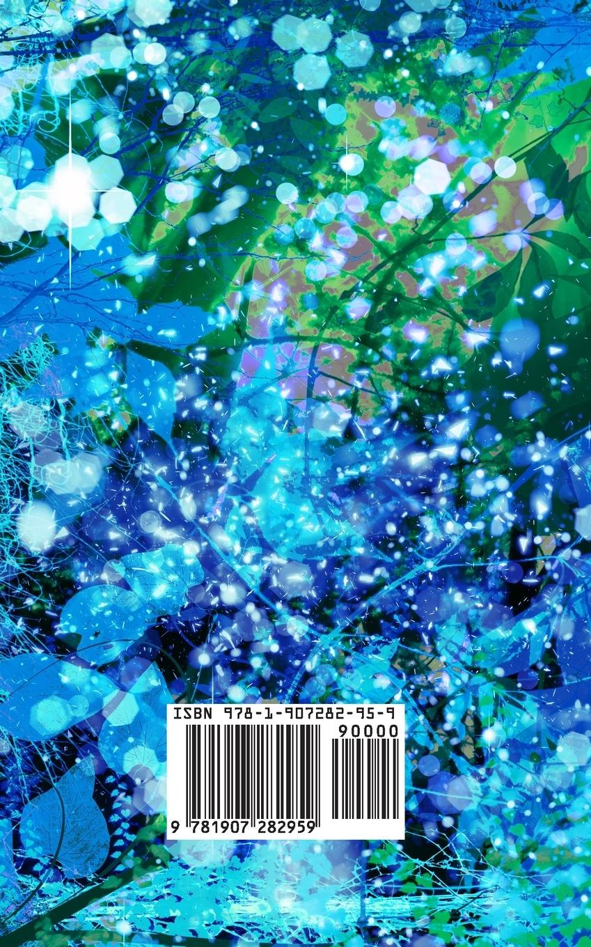 Rückseitencover Het Kleine Boek der Celtic Reiki Wijsheid