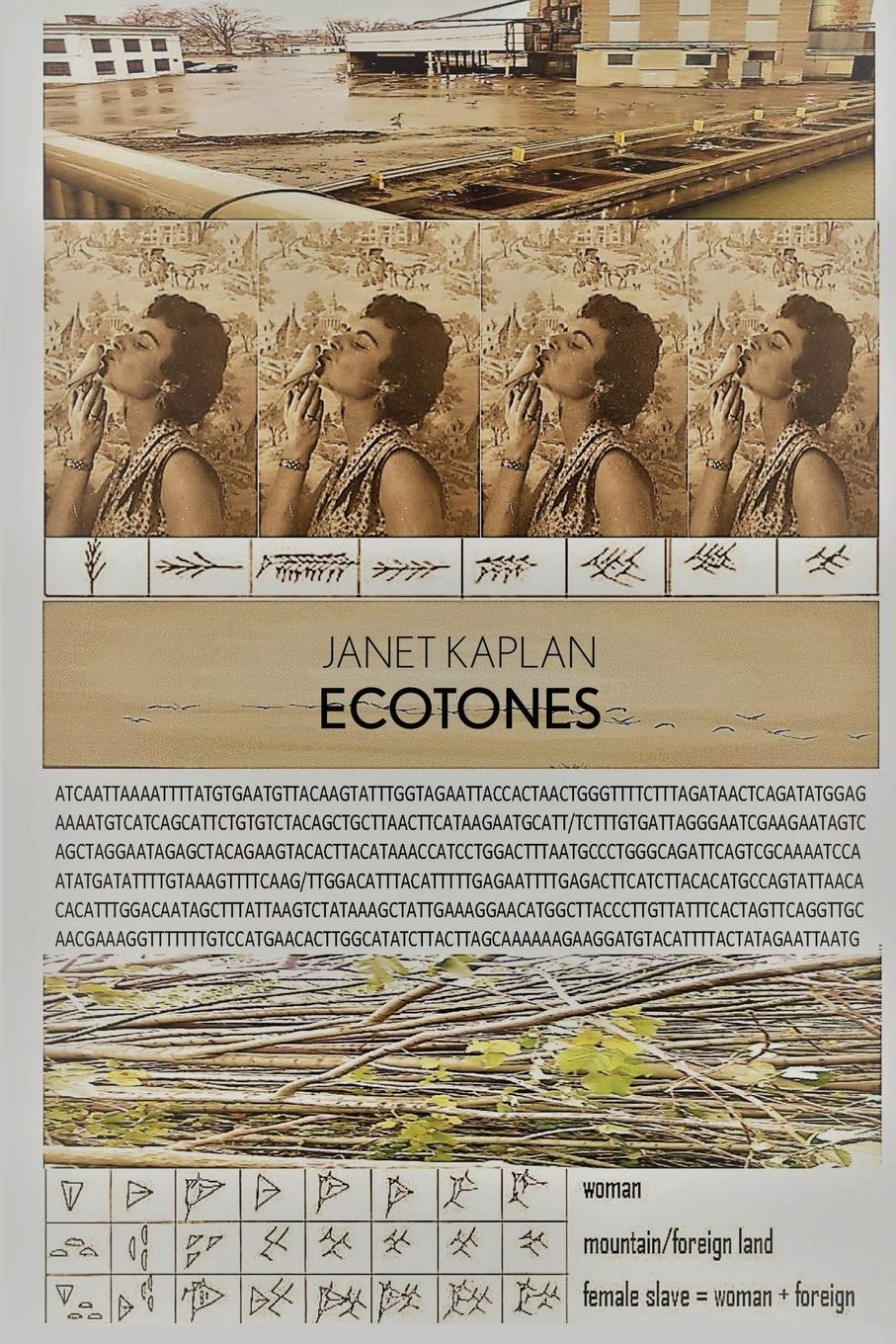 Vorderes Coverbild Ecotones