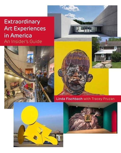 Vorderes Coverbild Extraordinary Art Experiences in America
