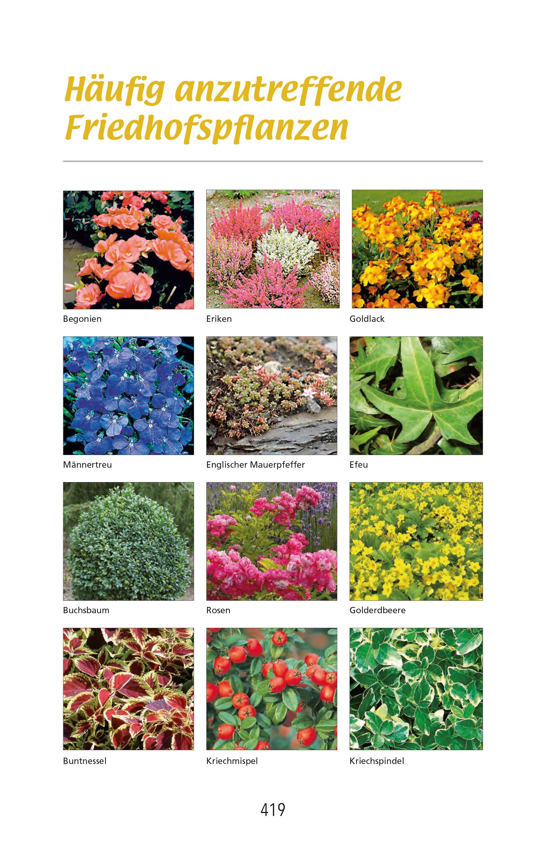 Beispielinhalt (Bild) Unser allerletzter Weg