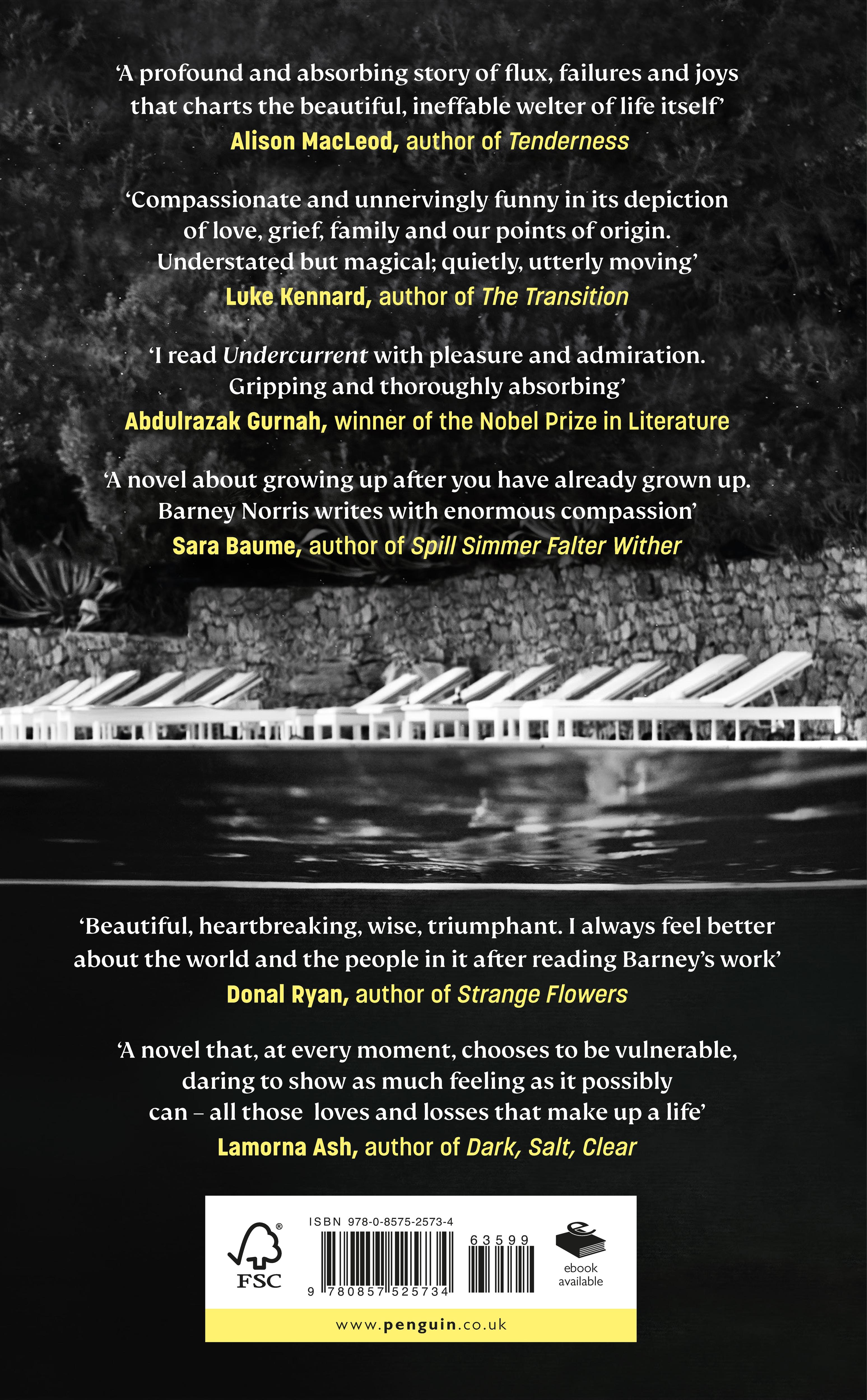 Rückseitencover Undercurrent