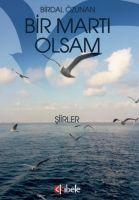 Vorderes Coverbild Bir Marti Olsam
