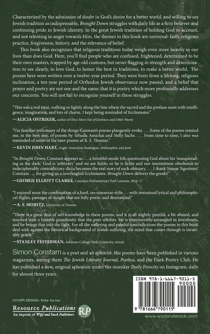 Rückseitencover Brought Down