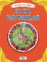 Vorderes Coverbild Evcil Hayvanlar