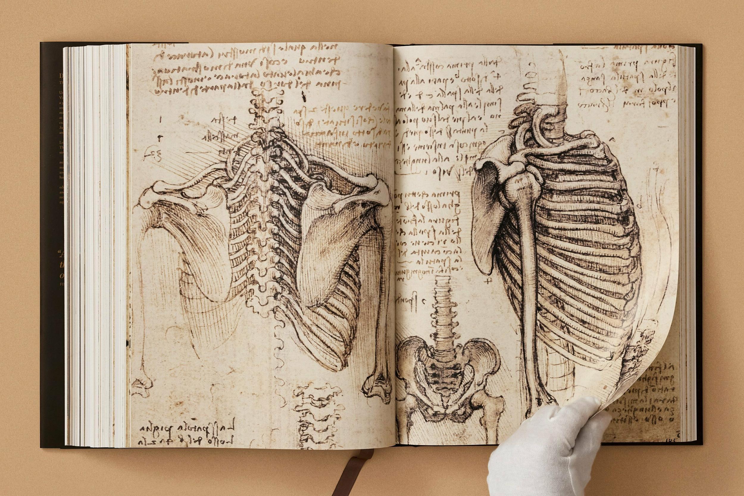 Beispielinhalt (Bild) Leonardo. Sämtliche Gemälde und Zeichnungen