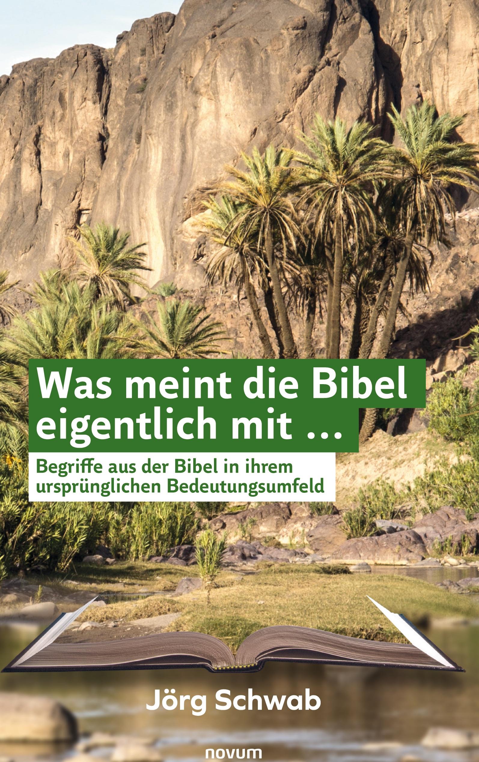Vorderes Coverbild Was meint die Bibel eigentlich mit ...