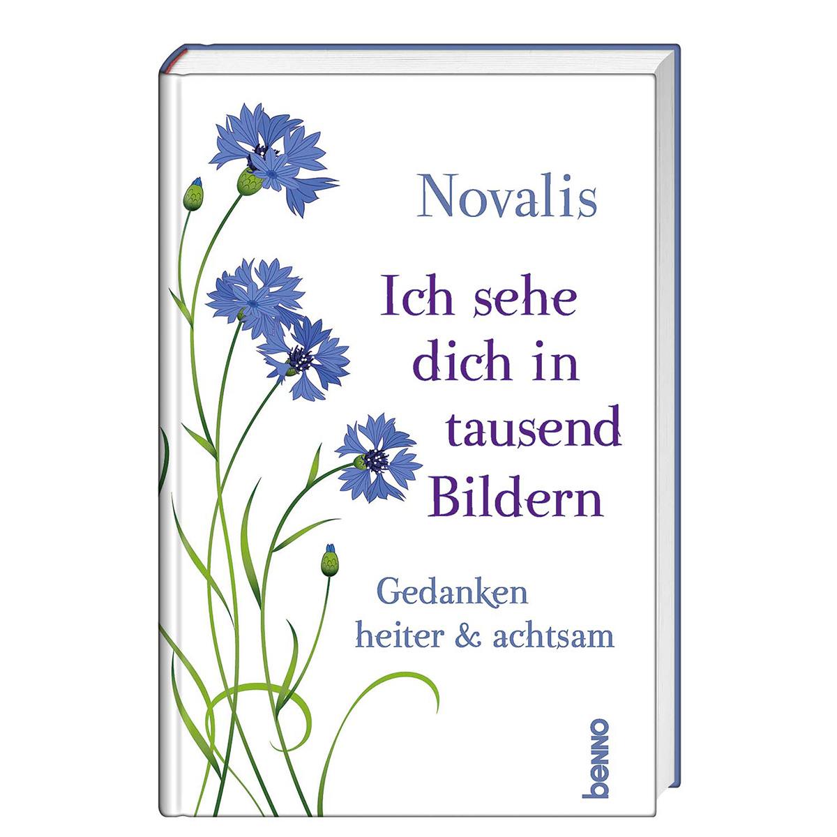 Vorderes Coverbild Ich sehe dich in tausend Bildern