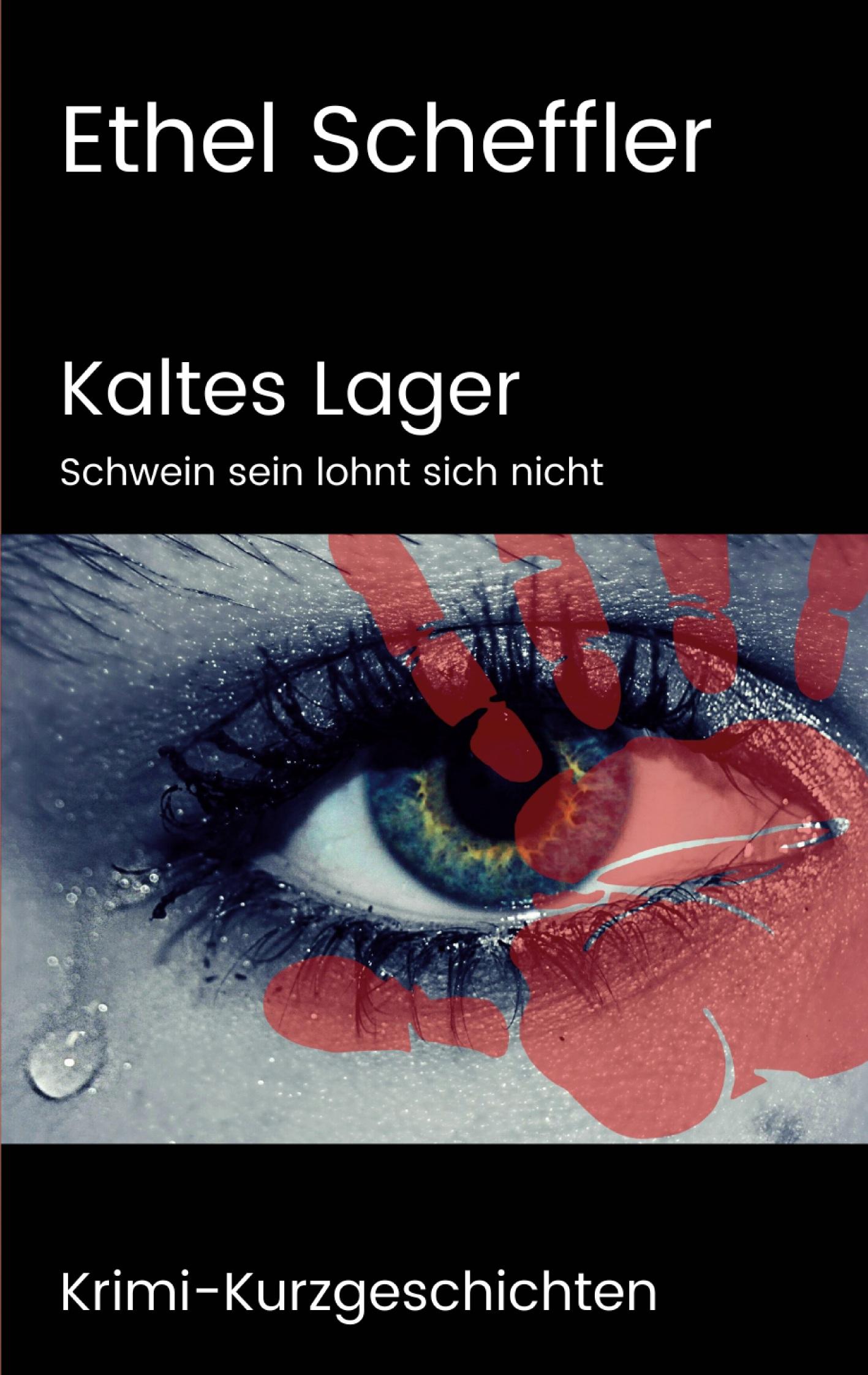 Vorderes Coverbild Kaltes Lager