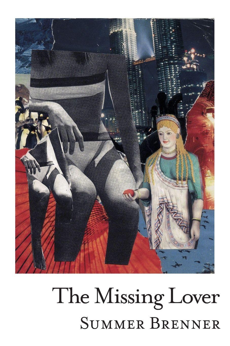 Vorderes Coverbild The Missing Lover