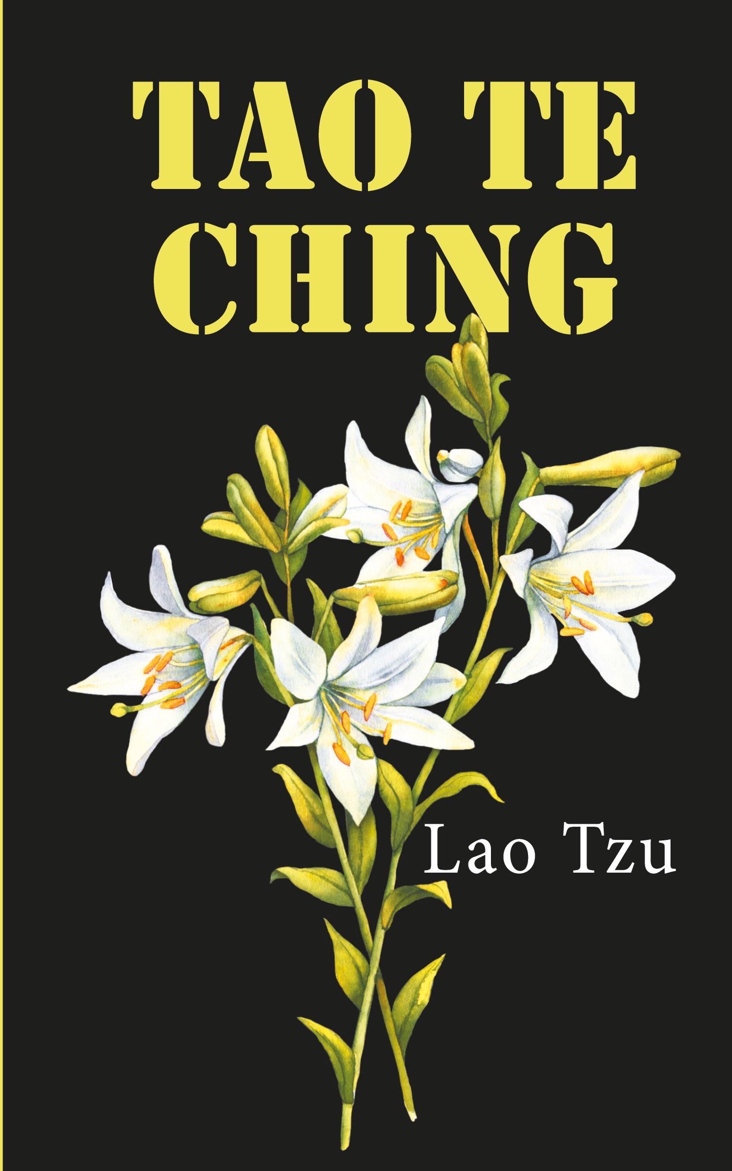 Vorderes Coverbild TAO TE CHING