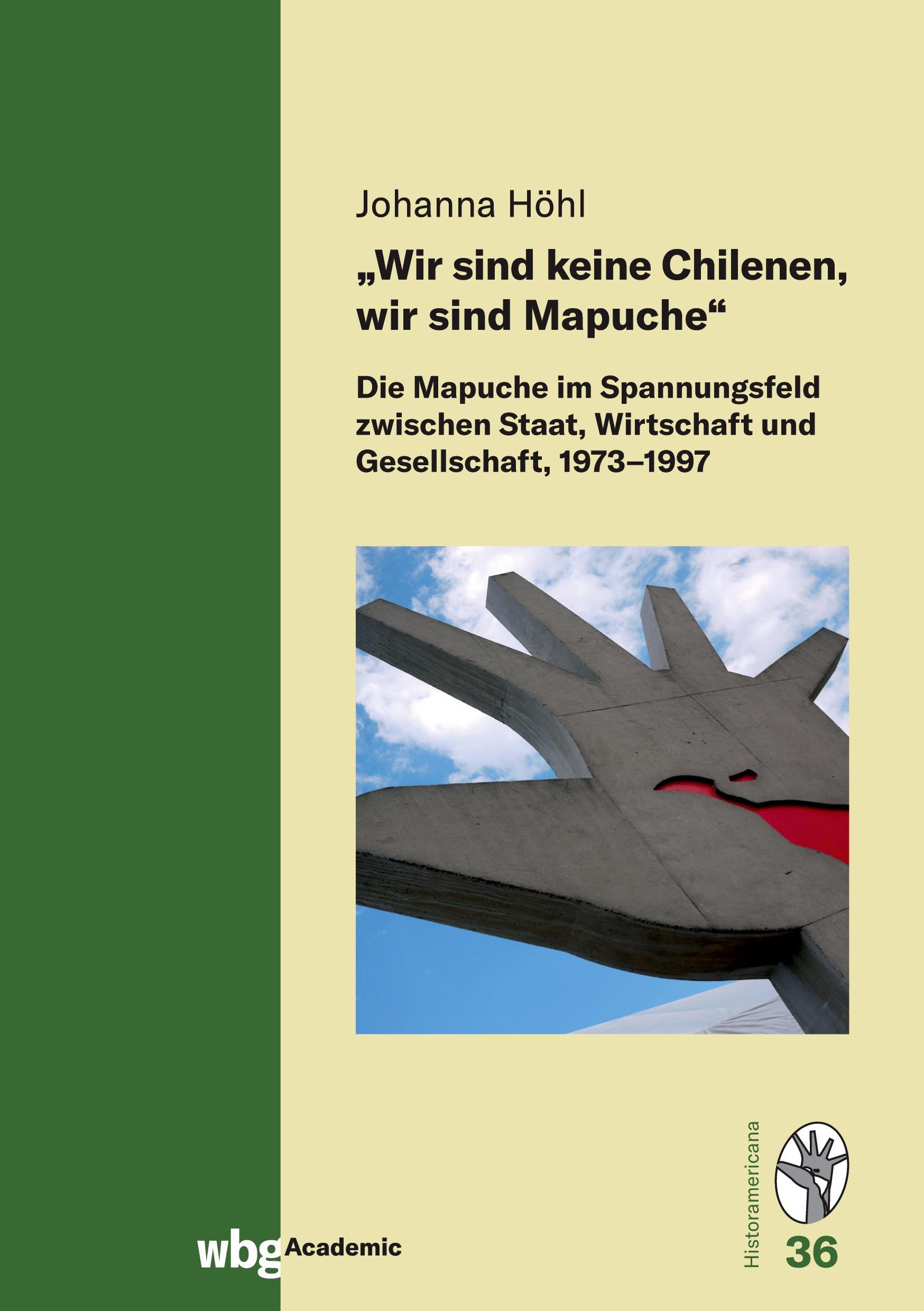 Vorderes Coverbild "Wir sind keine Chilenen, wir sind Mapuche"