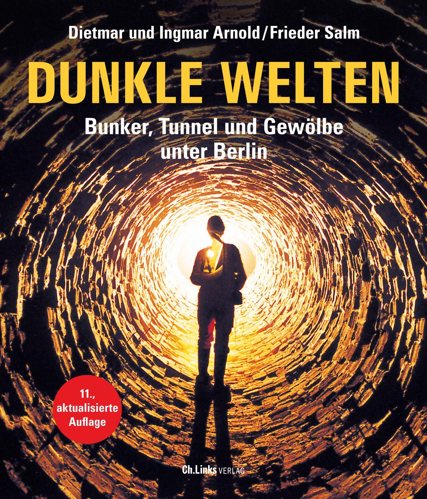 Vorderes Coverbild Dunkle Welten