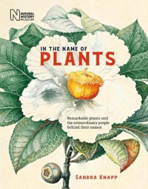 Vorderes Coverbild In the Name of Plants