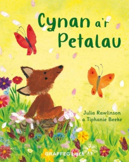 Vorderes Coverbild Cynan a'r Petalau