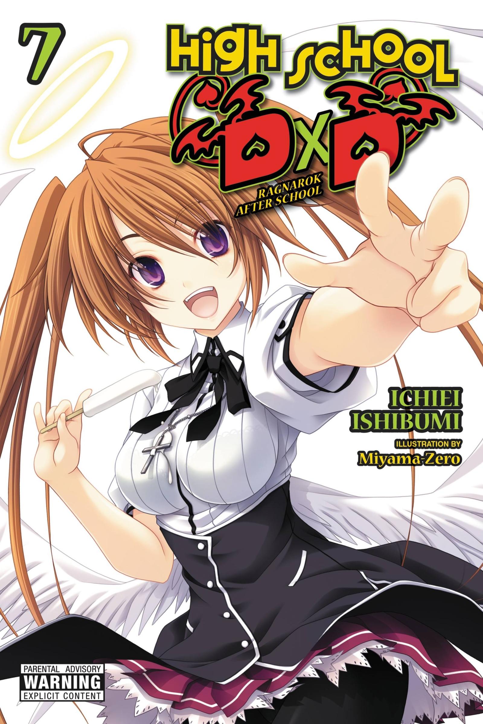 Vorderes Coverbild High School DXD, Vol. 7 (Light Novel)