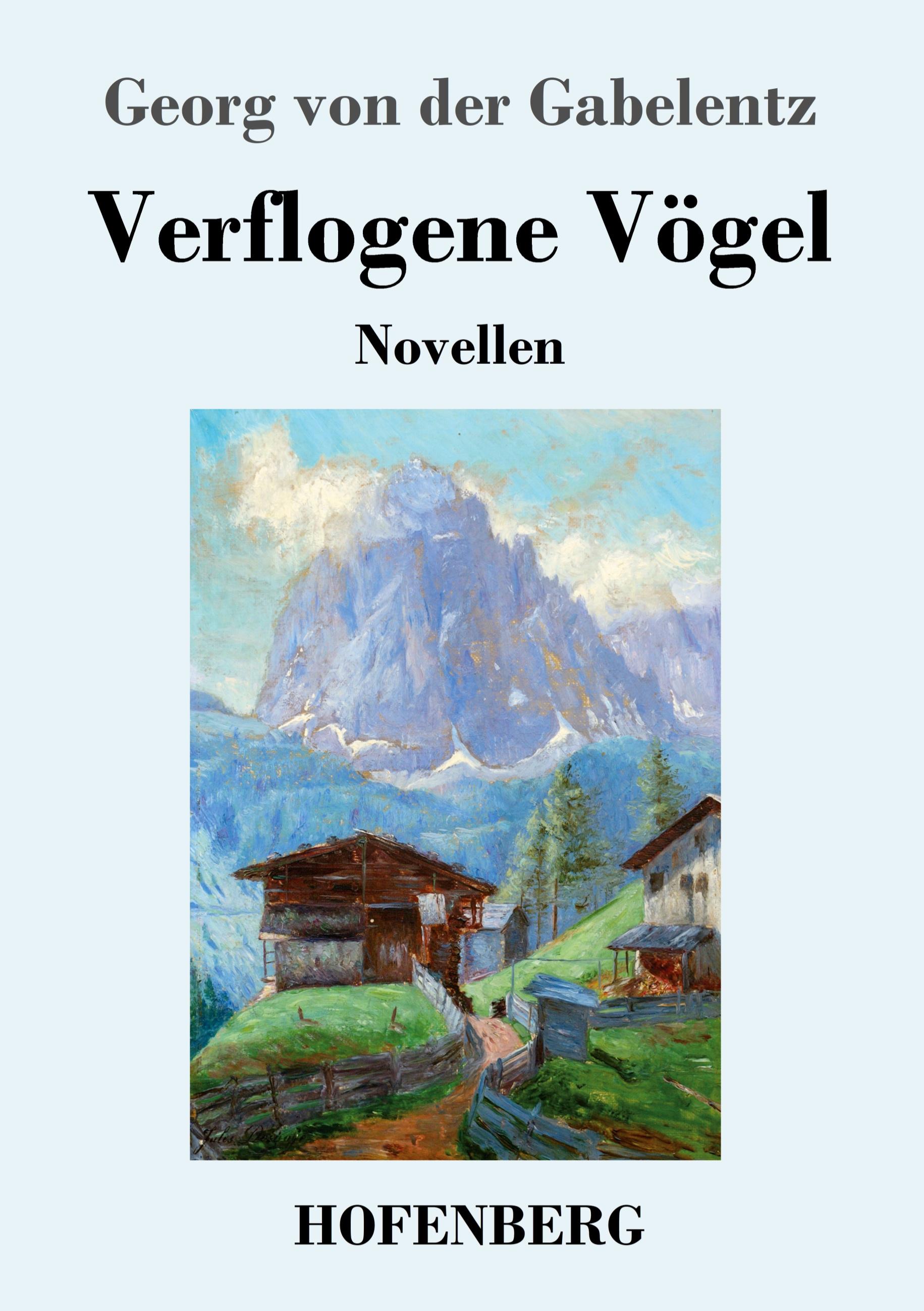Vorderes Coverbild Verflogene Vögel