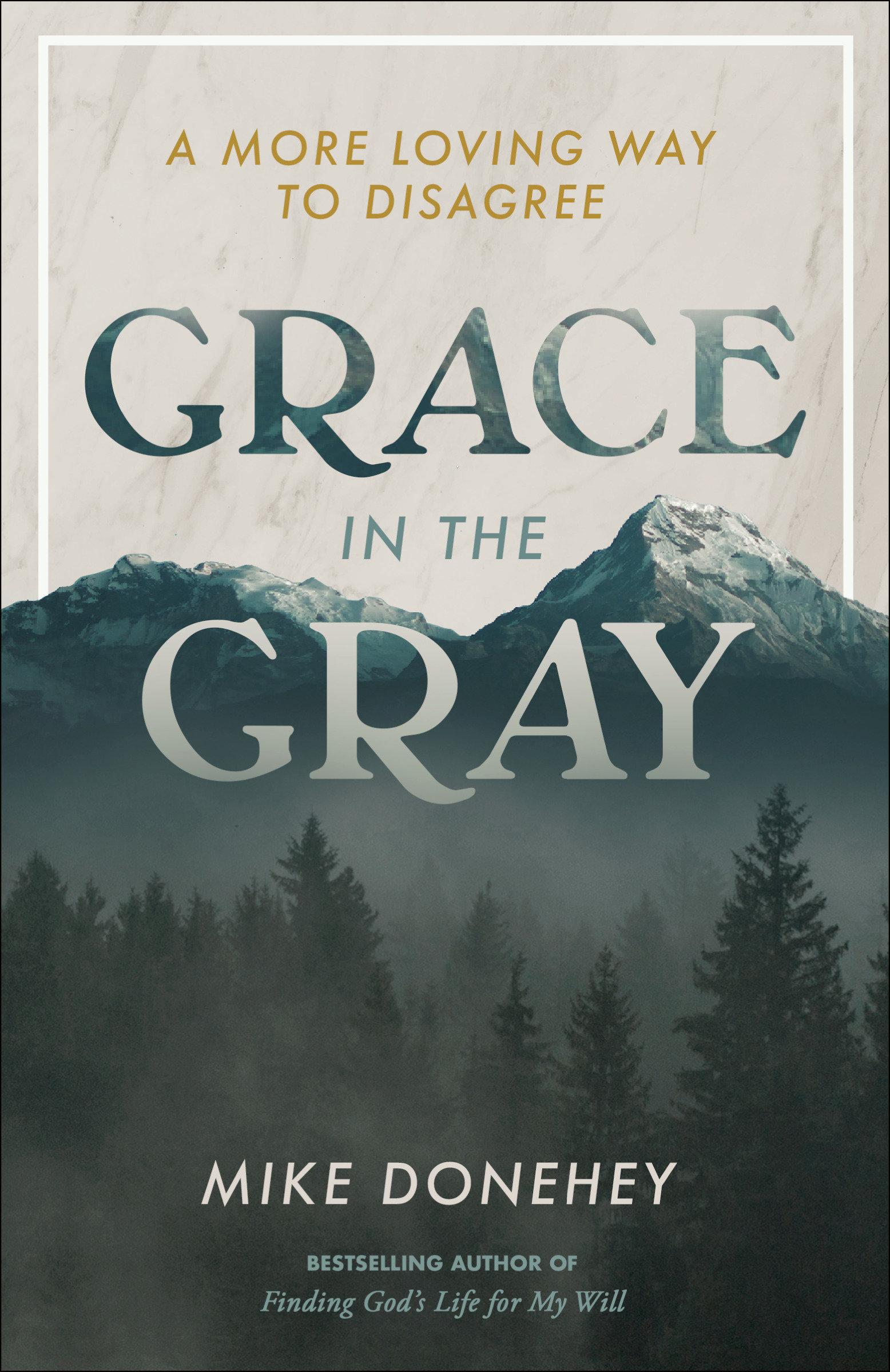 Vorderes Coverbild Grace in the Gray