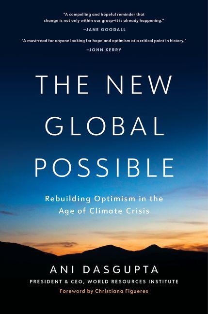 Vorderes Coverbild The New Global Possible