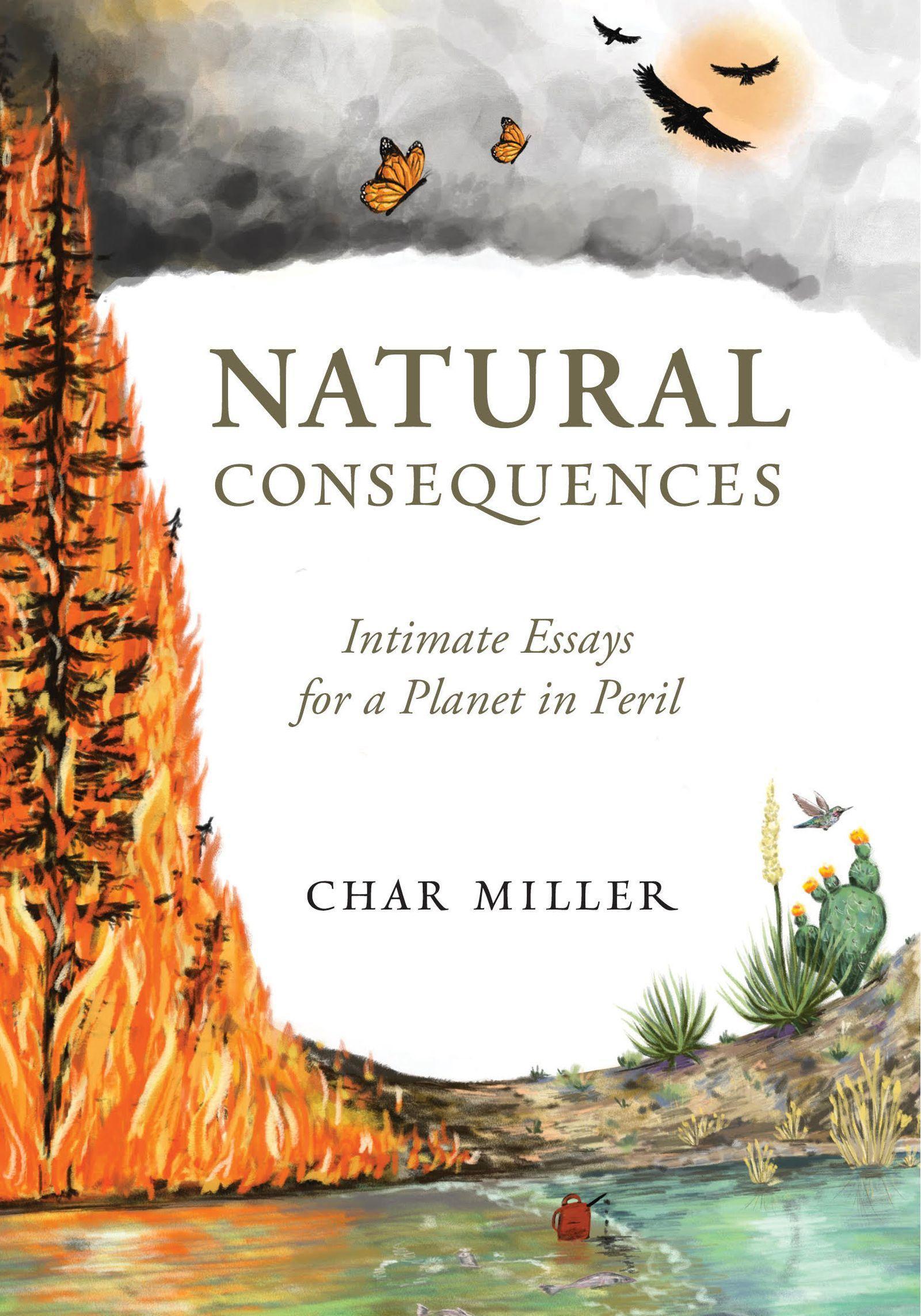 Vorderes Coverbild Natural Consequences: Intimate Essays for a Planet in Peril