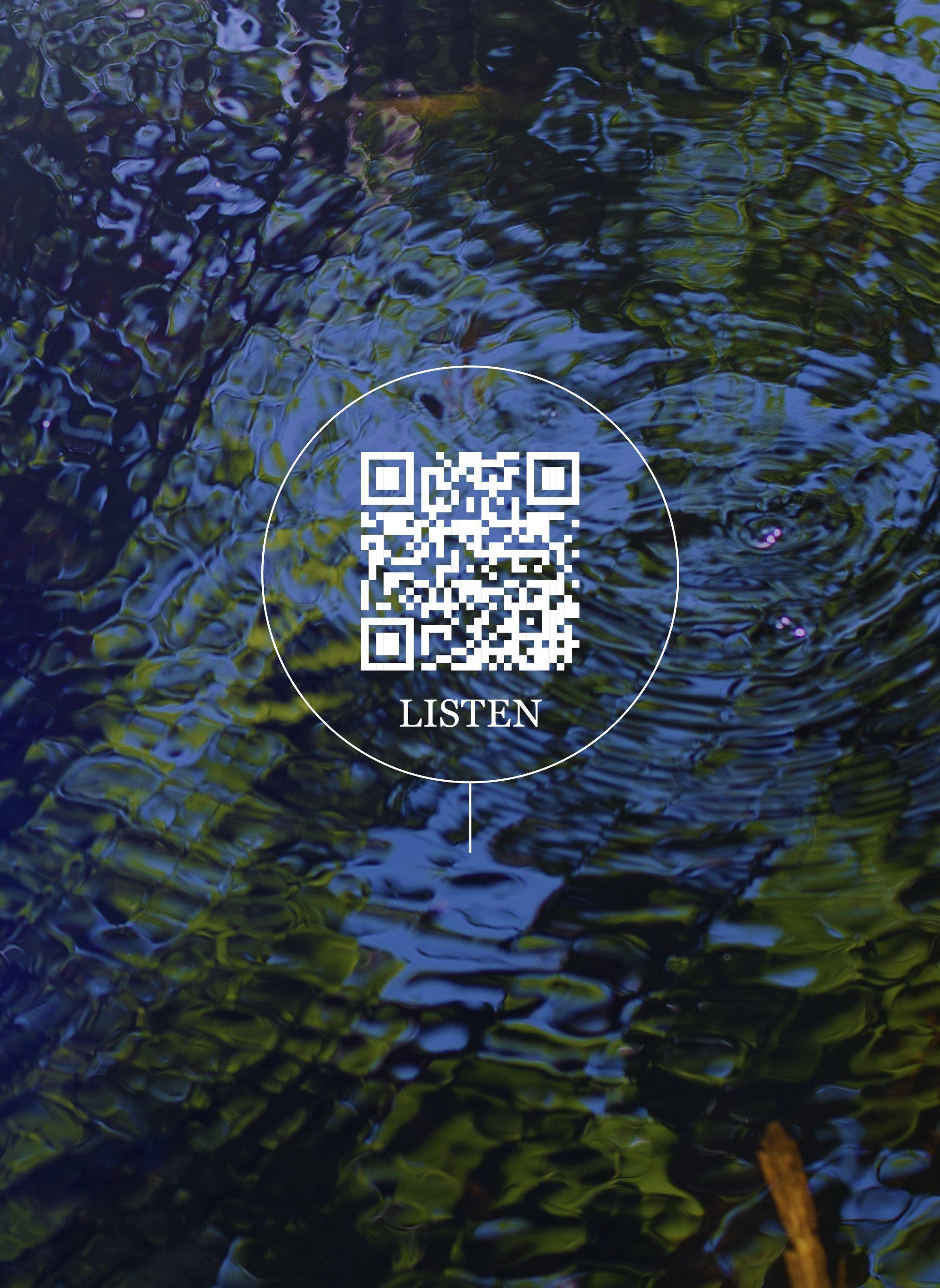 Vorderes Coverbild Wetland Project
