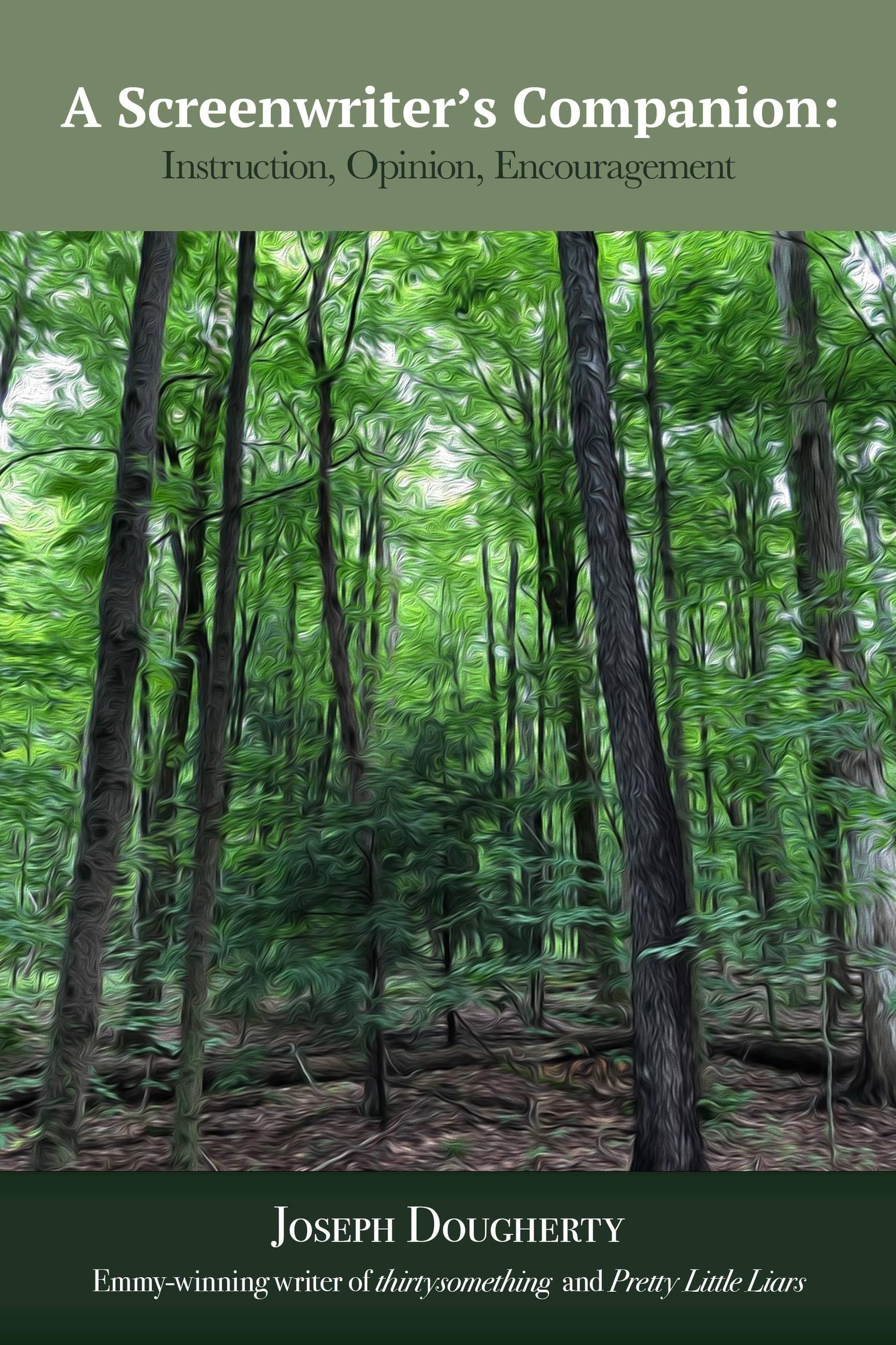 Vorderes Coverbild A Screenwriter's Companion