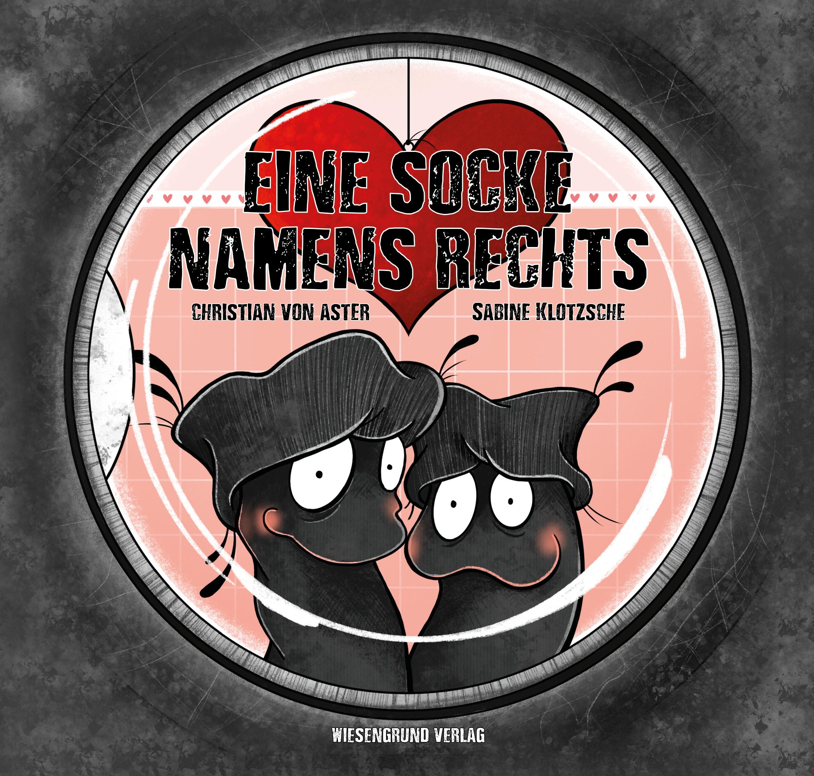 Vorderes Coverbild Eine Socke namens Rechts
