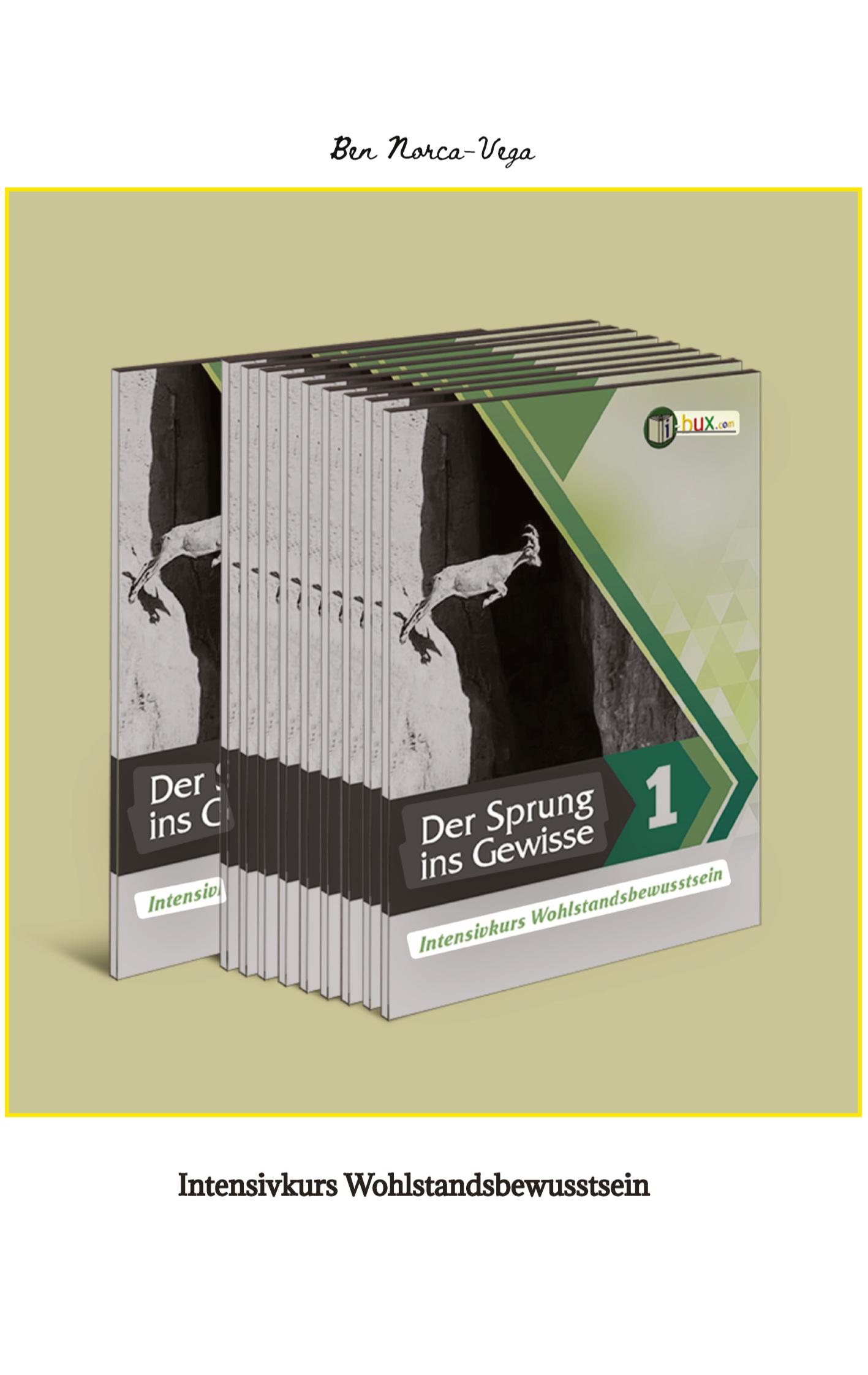 Vorderes Coverbild Der Sprung ins Gewisse