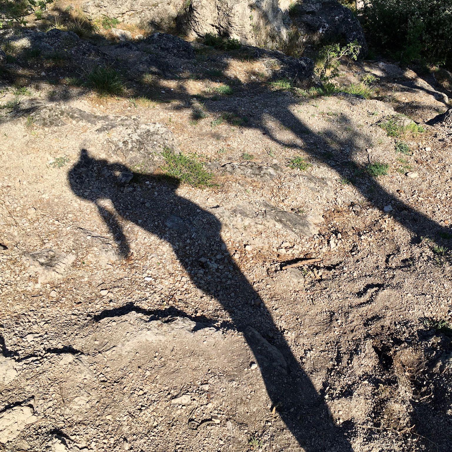 Autorenbild Selinas Poesie, G wie Geschenk, Gedichte mit Herz, Gedichte mit Botschaften