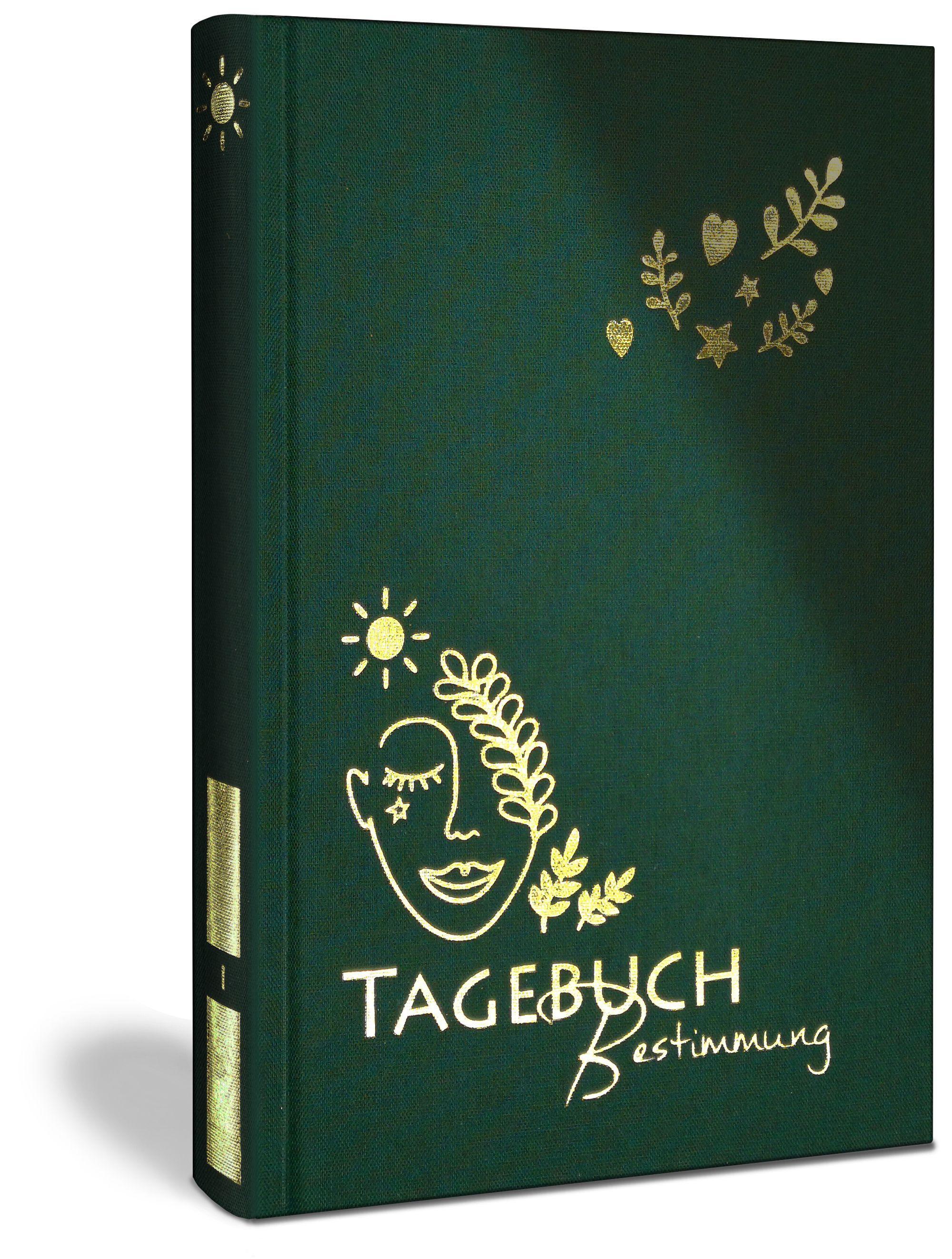 Vorderes Coverbild Erkenne die offenen Türen, die Dich zu Deiner Bestimmung führen