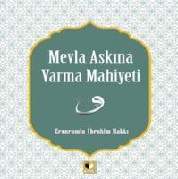 Vorderes Coverbild Mevla Askina Varma Mahiyeti