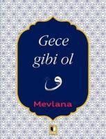 Vorderes Coverbild Gece Gibi Ol