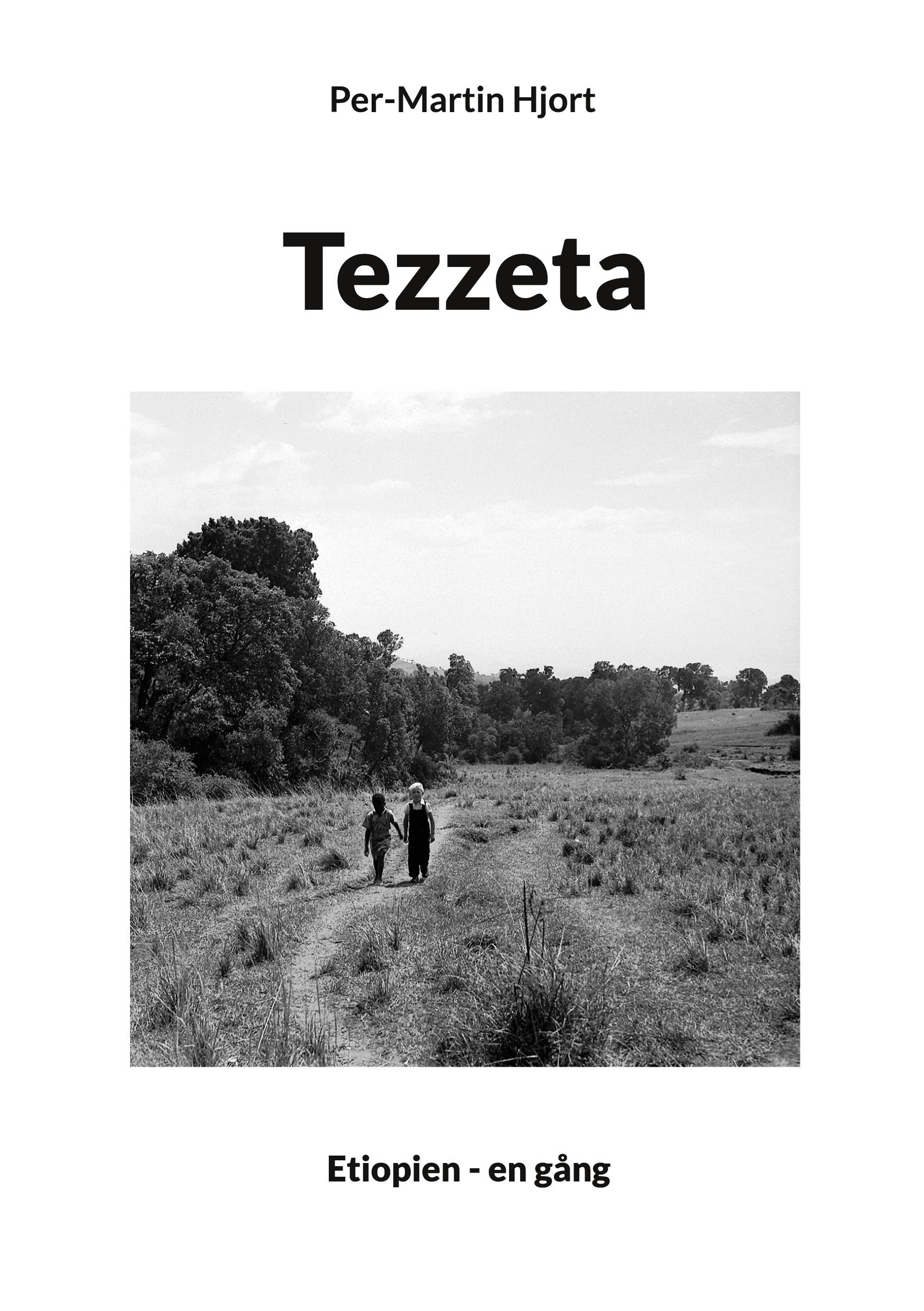Vorderes Coverbild Tezzeta