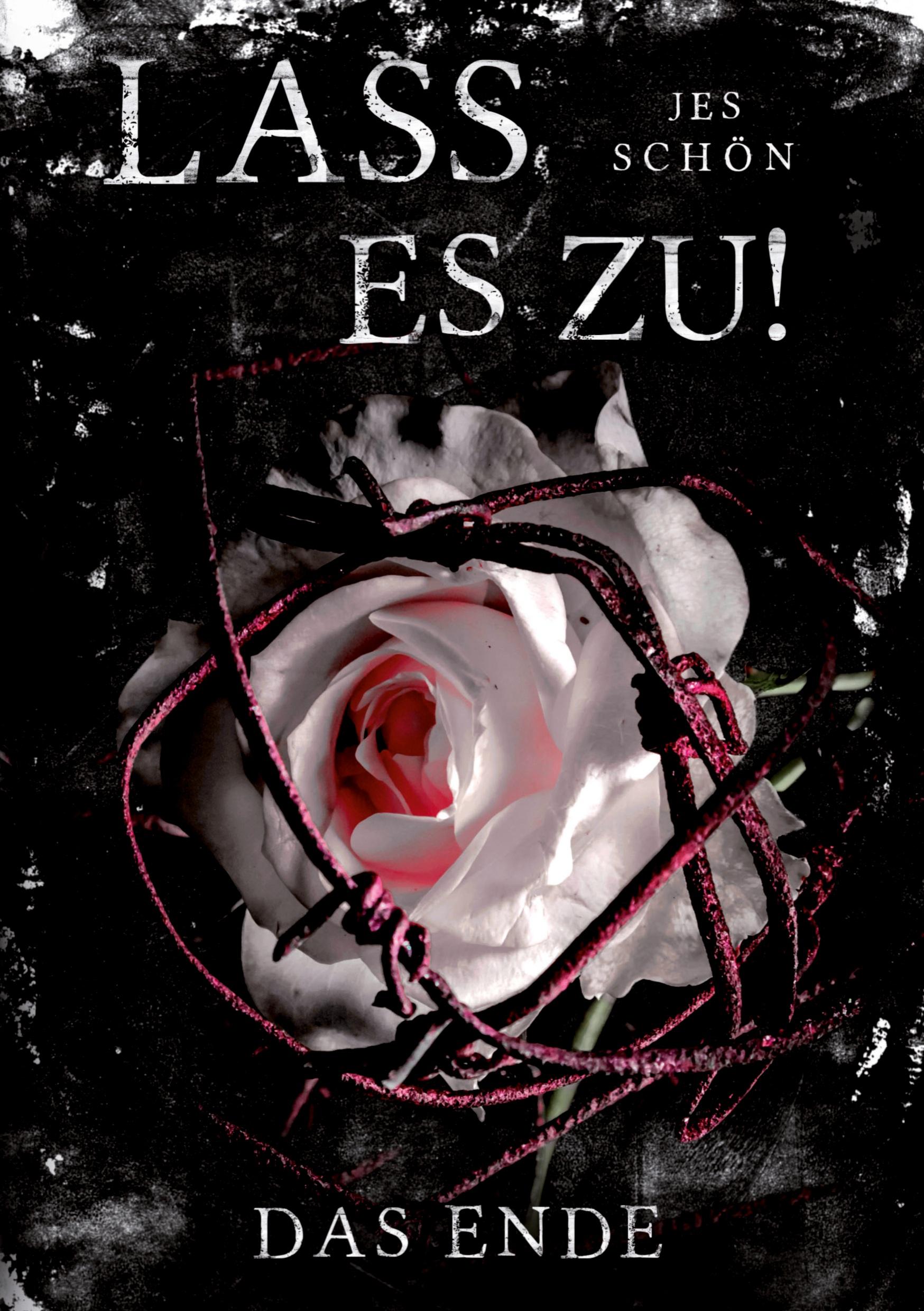 Vorderes Coverbild Lass es zu!: Das Ende