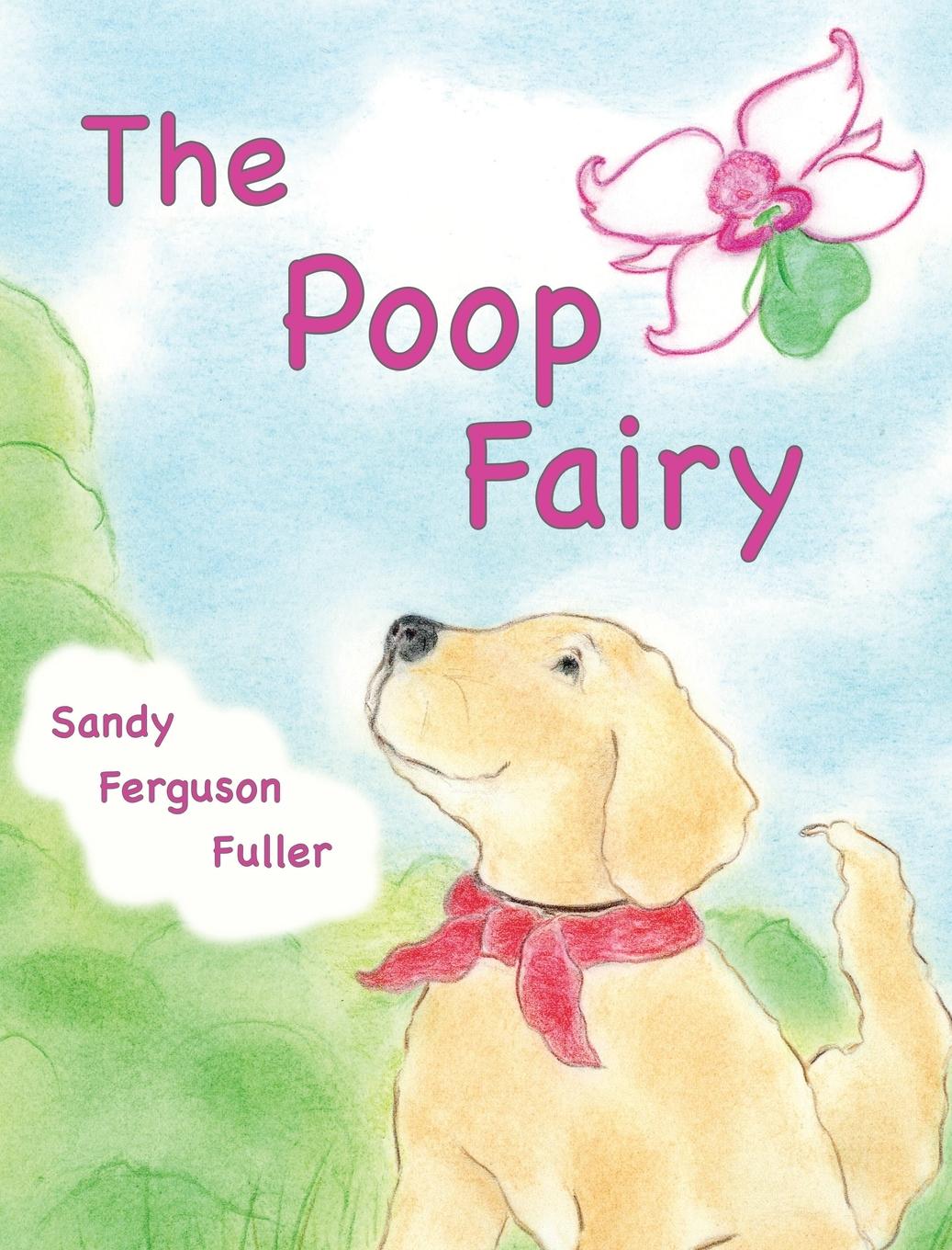 Vorderes Coverbild The Poop Fairy
