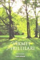 Vorderes Coverbild Hikmet Piriltilari