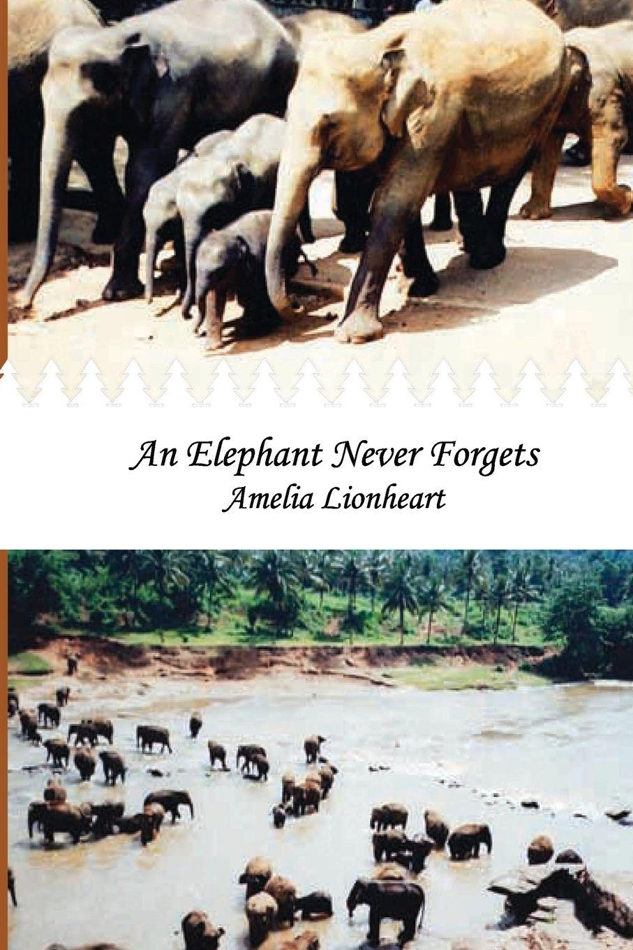 Vorderes Coverbild An Elephant Never Forgets