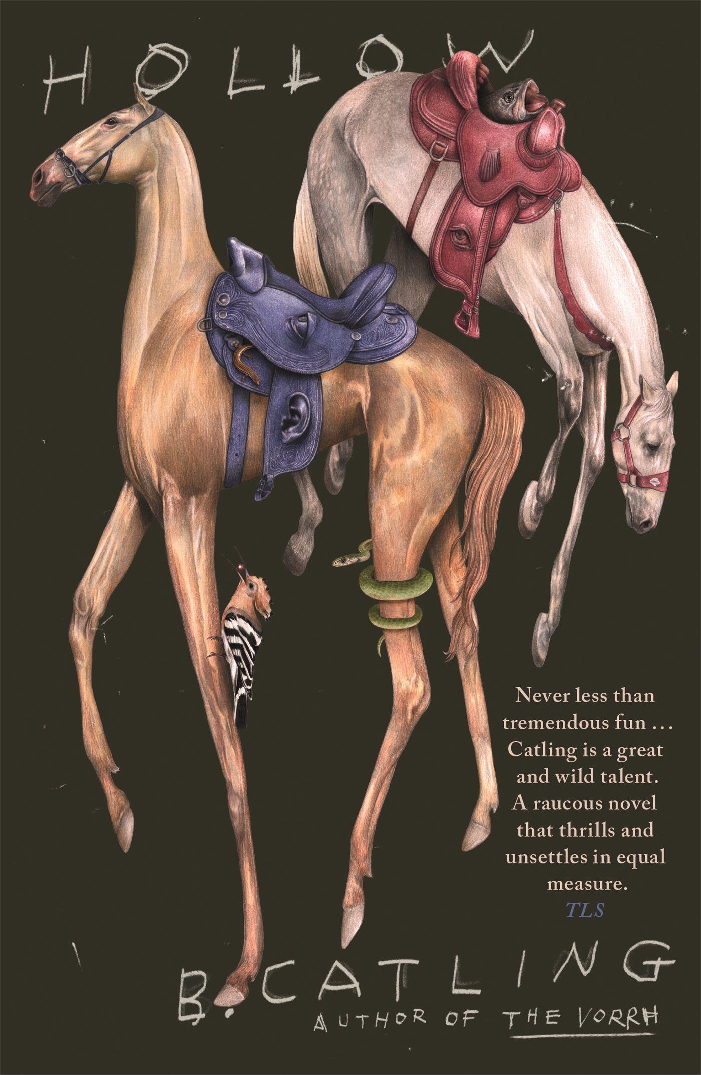 Vorderes Coverbild Hollow