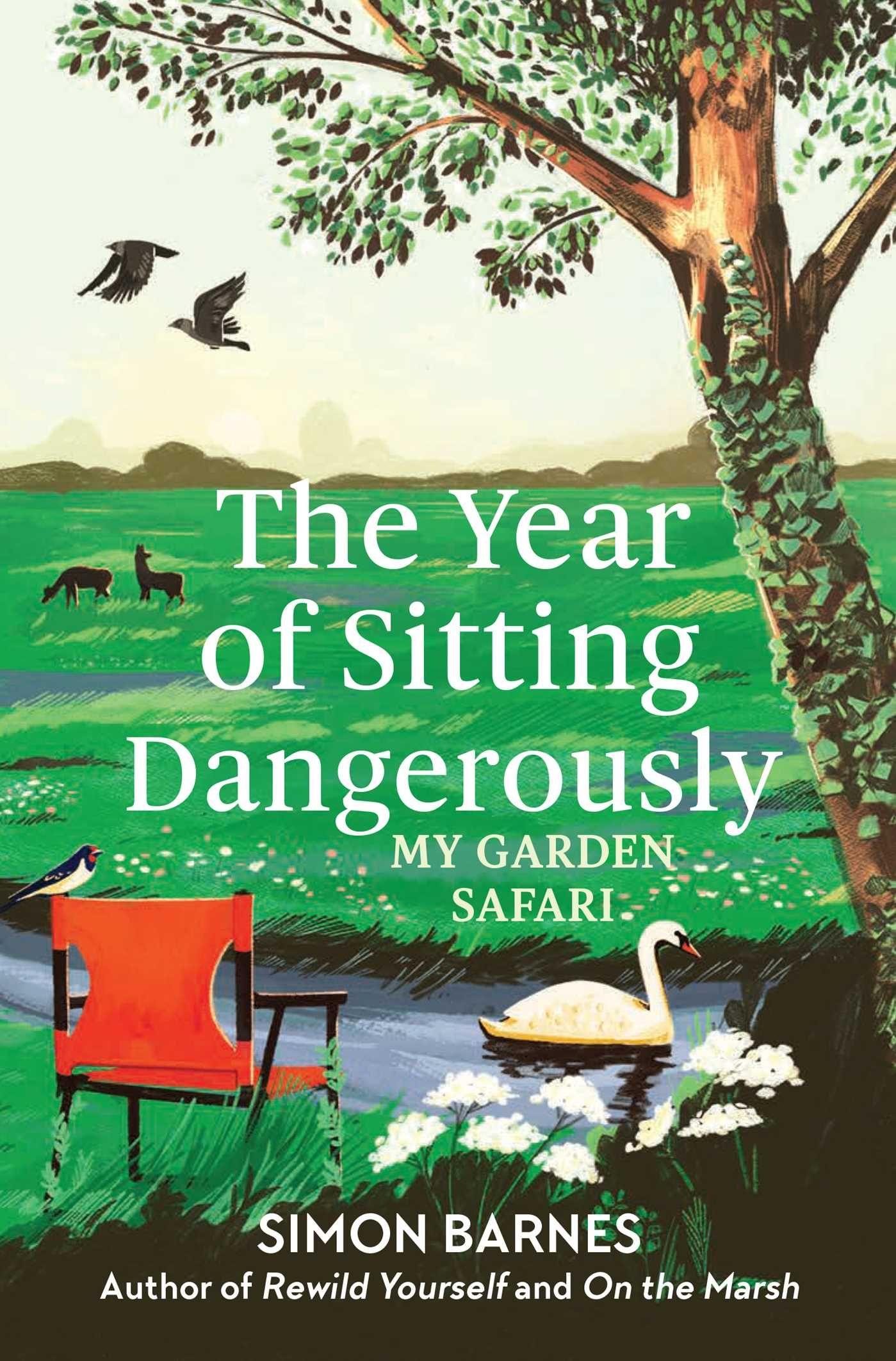Vorderes Coverbild The Year of Sitting Dangerously