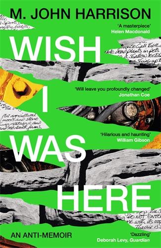 Vorderes Coverbild Wish I Was Here
