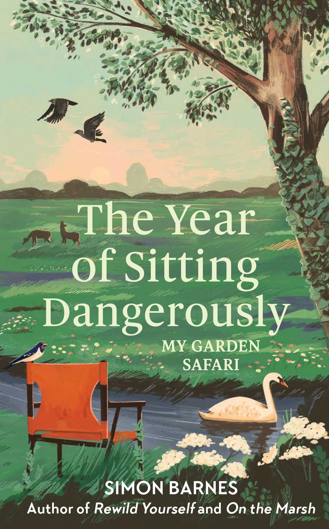 Vorderes Coverbild The Year of Sitting Dangerously