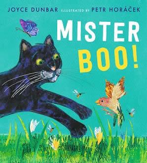 Vorderes Coverbild Mister Boo!