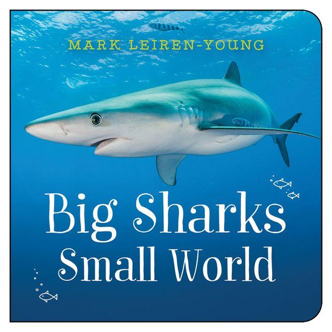 Vorderes Coverbild Big Sharks, Small World